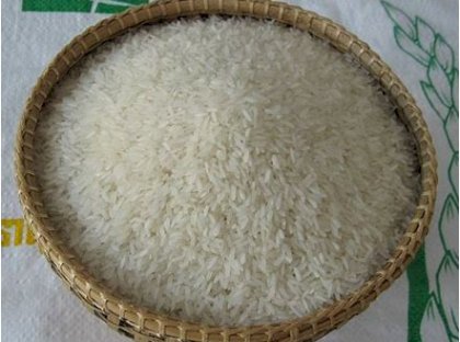 Rice
