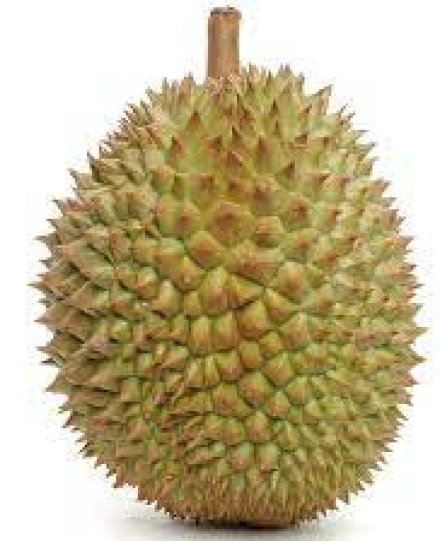 Durians 