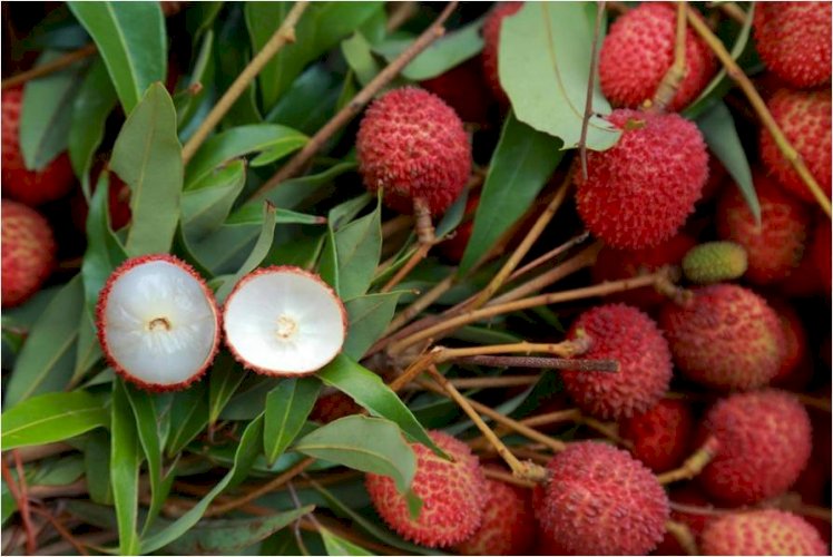 Lychees