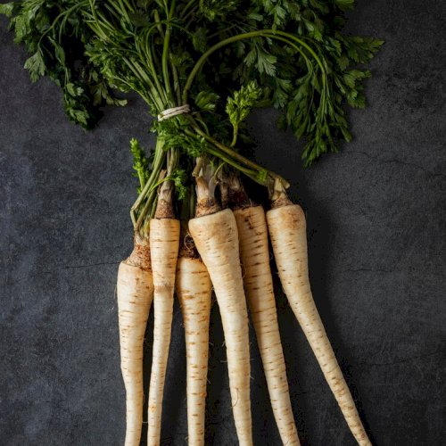 Parsnip