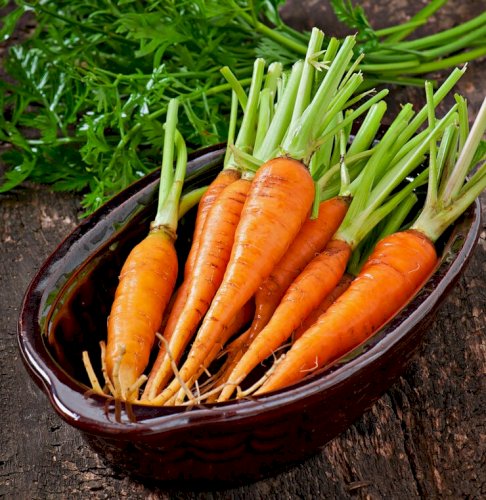 Carrots