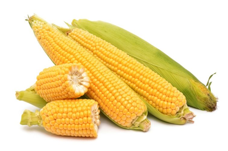 Corn