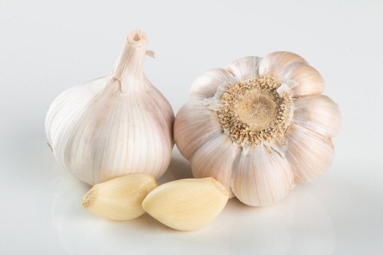 Garlic 