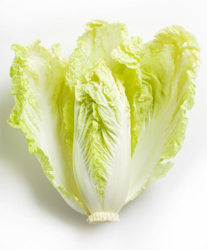 Lettuce 